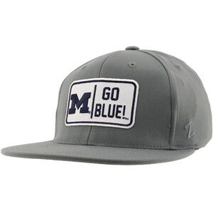 ZHATS Standard NCAA Officially Licensed Fitted Hat M15Z Defer Medium/335--bb2